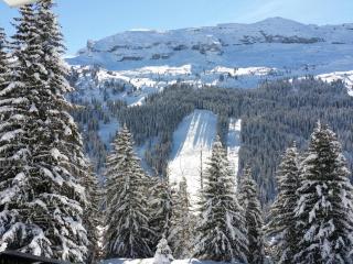 Studio Rénové avec Cabine, Balcon et Casier à Ski, au Centre de Flaine Forêt - FR-1-425-154 - 1