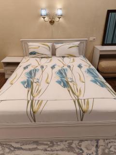 Двухкомнатная квартира студия - 3