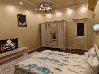 Двухкомнатная квартира студия - 1