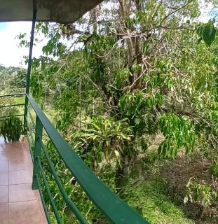 Kalegio Lodge Full Furnished Apartments - 3