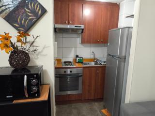 Gran Santiago Apartamentos diarios - 8