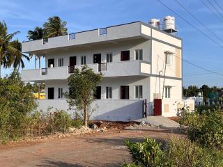 The coconest Kinathukadavu, Coimbatore - 5