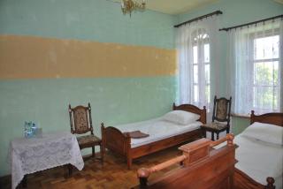 Pałac w Czyżowie Szlacheckim - Czyżów Szlachecki - 3