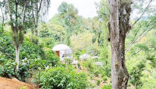 Alma Glamping - 4