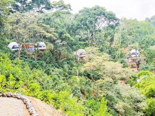 Alma Glamping - 9