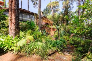Casa del Rio, Nature Retreat with Temazcal - 1