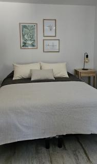 Viento Suites II - Andarlibre - 5