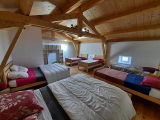 comme dans la paille -  - 2