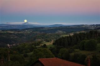 comme dans la paille -  - 1