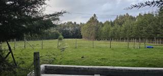 Peaceful Farm House facing the Aberdares - 6
