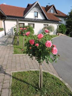 Relax Guest House Marjanca - Rogaška Slatina - 5