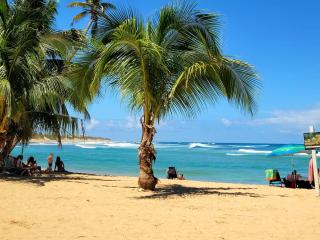 Ostiones Beach Property - 1