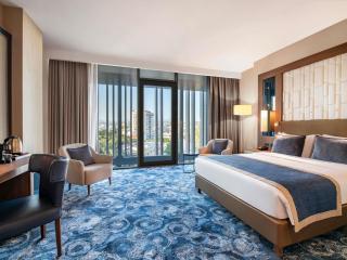 Tbilisi Philharmonic Hotel by Mercure - 9