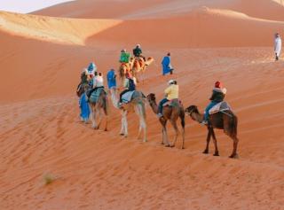 Luxury Dune's Camp - 5