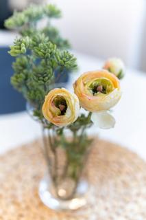 BellaBene modernes Studioapartment in zentraler Lage, Arbeitsplatz, Parkplatz - Pforzheim - 6