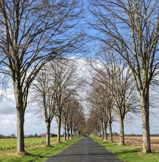 Maison de village à Omerville - 8