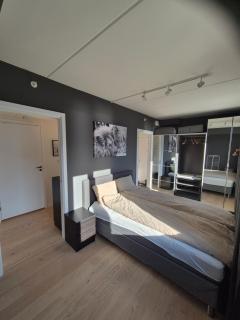 Corner apartment Vervet - 8