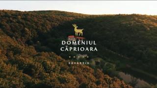 Domeniul Caprioara - 1