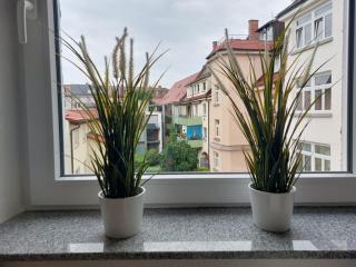 Platz für Gruppen - 4 Schlafzimmer mit TV - 1