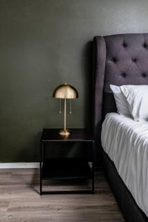 Stylish 1BR Corporate Suite - Austin - 2