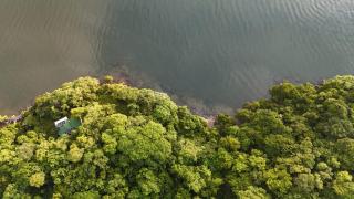 Teak house in a forest above the beach - 1