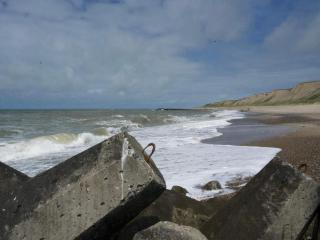 12 person holiday home in Ulfborg-By Traum - 1