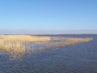 7 person holiday home in Ulfborg-By Traum - 6