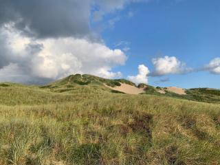 6 person holiday home in Hvide Sande - 4