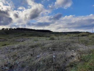 4 person holiday home in Hanstholm-By Traum - 2