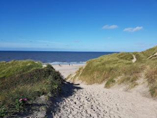 8 person holiday home in Ringkøbing - 4