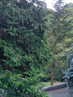 Luna Reale Roccaraso apt - 5