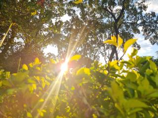 Chácara Topázio - 6