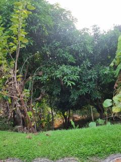 Chácara Topázio - 3