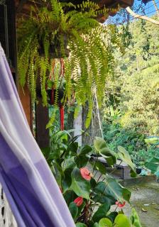 Hospedaria Flor da Montanha - 9