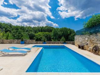 Luxury villa with a swimming pool Frankovici, Central Istria - Sredisnja Istra - 16569 - 6