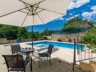 Luxury villa with a swimming pool Frankovici, Central Istria - Sredisnja Istra - 16569 - 7