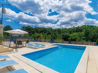 Luxury villa with a swimming pool Frankovici, Central Istria - Sredisnja Istra - 16569 - 8