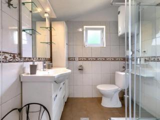 Luxury villa with a swimming pool Frankovici, Central Istria - Sredisnja Istra - 16569 - 1