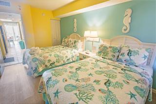 New Oceanfront Condo Direct Oceanfront at Baywatch - 6