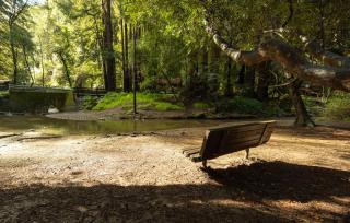 Redwood Treehouse Retreat Near Muir Woods w Deck - 3