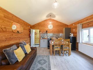 Llwynog Lodge - 4
