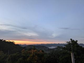 A Caribbean Oasis -  - 7