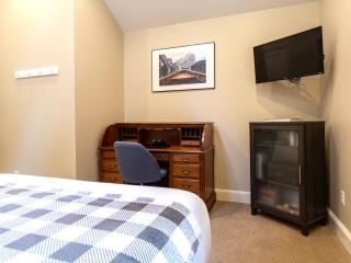 Mt. Baker ski stash, fast Wi-Fi, pets ok - 3