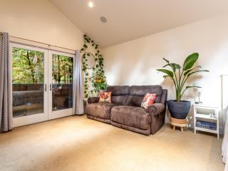 Mt. Baker ski stash, fast Wi-Fi, pets ok - 6