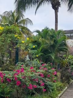 Martinique 3 ILETS POINTE DU BOUT T2 35M2 - 6