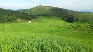 Homestay Cây Thông - 5