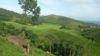 Homestay Cây Thông - 8