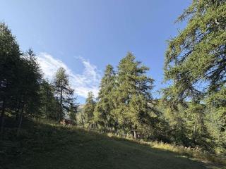 Studio calme 4 pers près des pistes, balcon sud, navette - FR-1-322-686 - 3