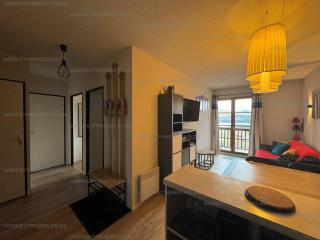 Confortable F3 au pied des pistes - FR-1-295-209 - 0