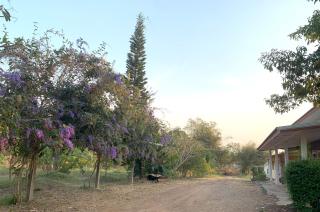 Baan Suan Thada Thai บ้านสวนธาดา ไทย - 9